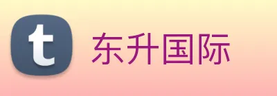 东升国际 logo